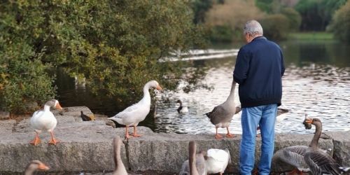 gardens and parks in Porto gardens and parks in Porto