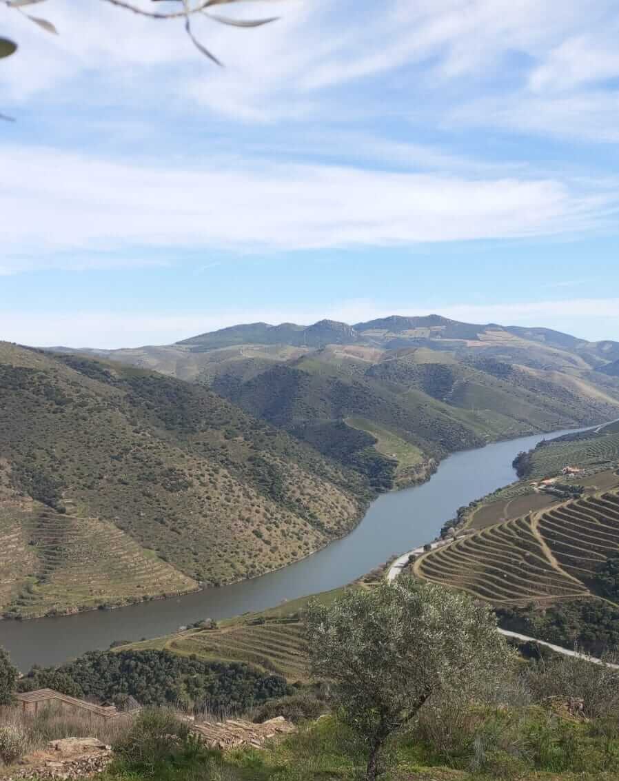 Port Wine Tour Porto