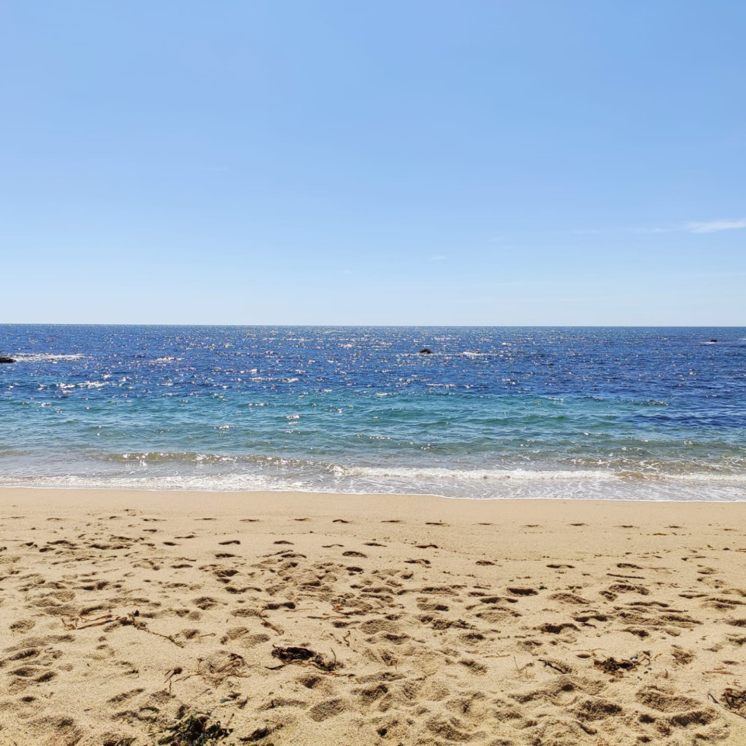 Top 10 Facts about Porto