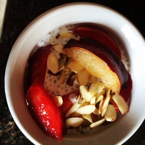 Paleo Vanilla Coconut Chia Pudding with Pluots