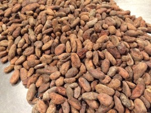 Cacao Beans from Dandelion Chocolate
