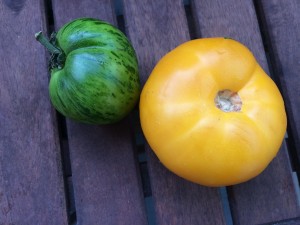 Heirloom tomatoes from the farmers market