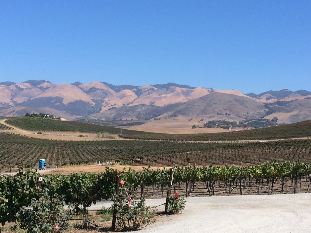 Weekend Wines: Pinot Noir and Zin in Edna Valley