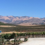 Wolff Vineyards- Edna Valley